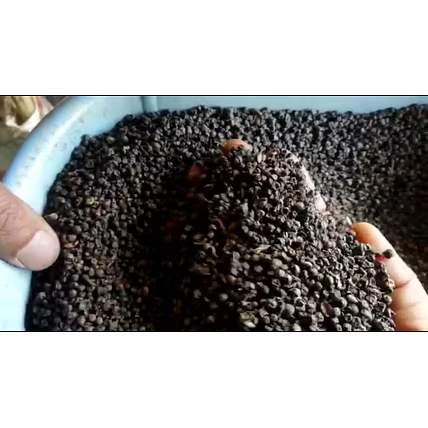 black pepper-12419642