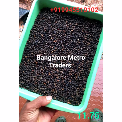 black pepper-2