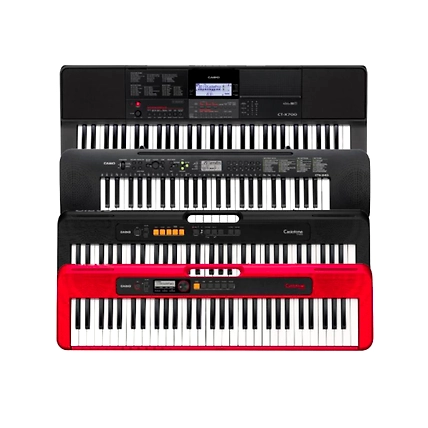 Casio Musical Keyboards - Standard Series-952343-b9bf57bb
