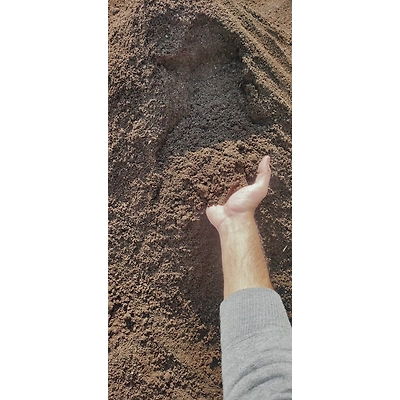 Organic Vermicompost