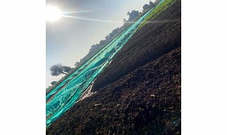 Organic Vermicompost