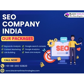 SEO Packages