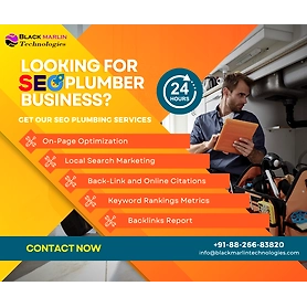 SEO Services for Plumber