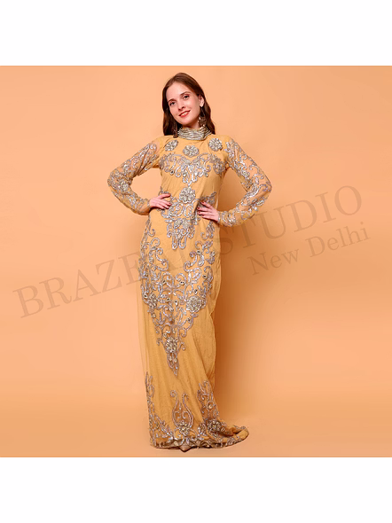 Brazeal Studio, Dresse, Golden With Silver-tone Embroidery And Sequin Work, Evening Gown / Formal Occasion Dress