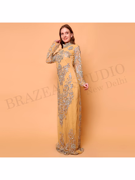 Brazeal Studio, Dresse, Golden With Silver-tone Embroidery And Sequin Work, Evening Gown / Formal Occasion Dress