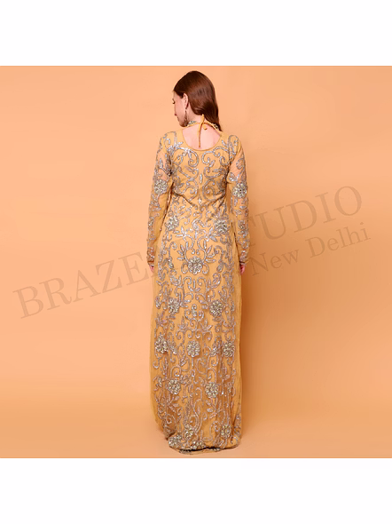 Brazeal Studio, Dresse, Golden With Silver-tone Embroidery And Sequin Work, Evening Gown / Formal Occasion Dress-4