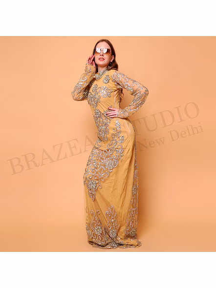 Brazeal Studio, Dresse, Golden With Silver-tone Embroidery And Sequin Work, Evening Gown / Formal Occasion Dress-6