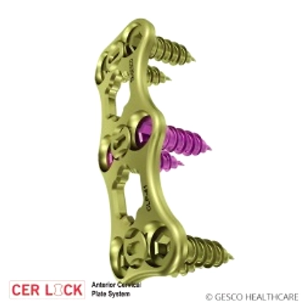 Anterior Cervical Plate System Spine implants-12419690