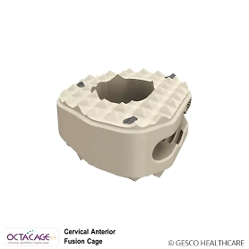 Cervical Anterior Interbody cage PEEK Spine implants