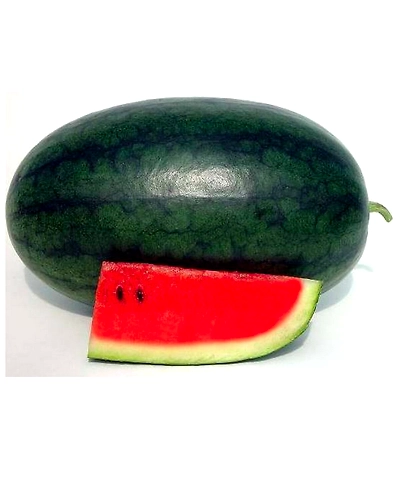 Geeta Seeds Hybrid F1 Watermelon (Ice Box) KGP-1