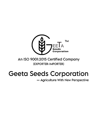 Geeta Seeds Coriander Seeds KGP-3