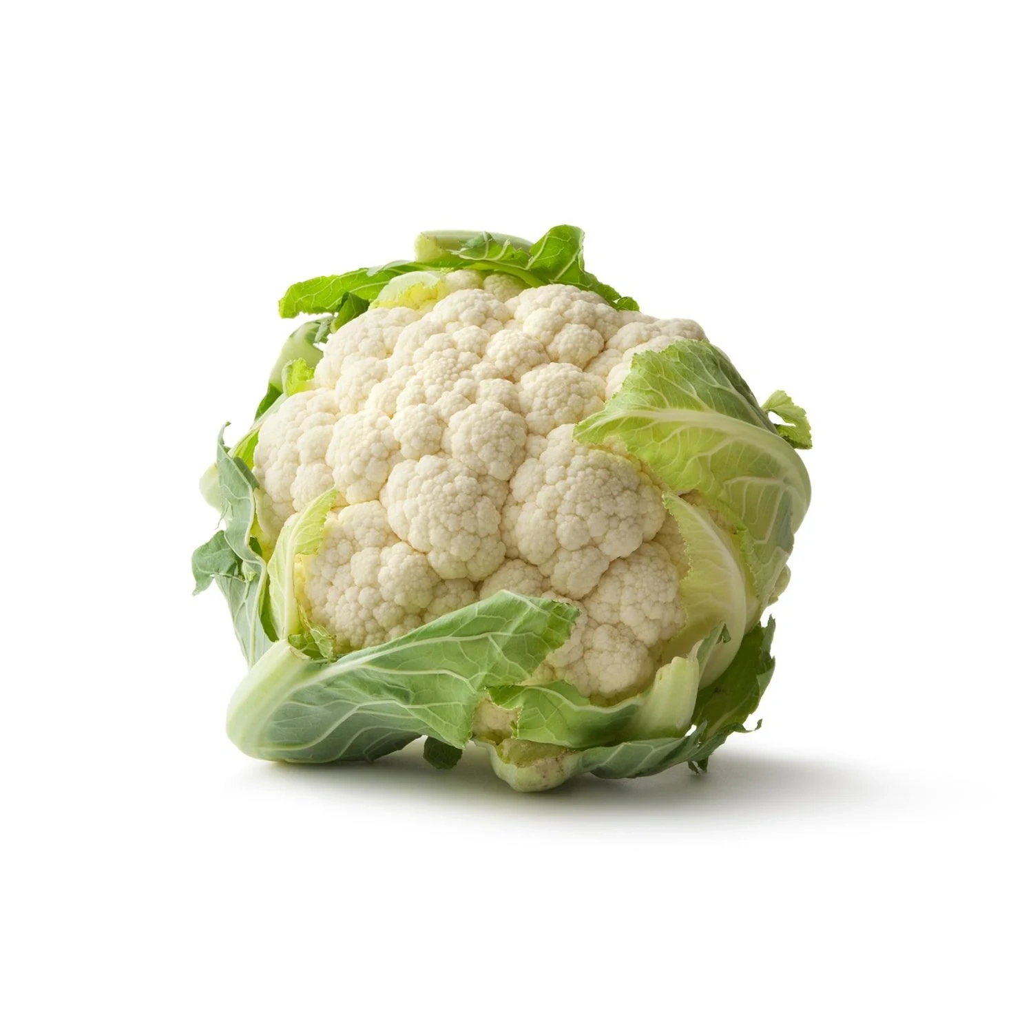 Geeta Seeds Hybrid F1 Cauliflower Seeds KGP-12419907