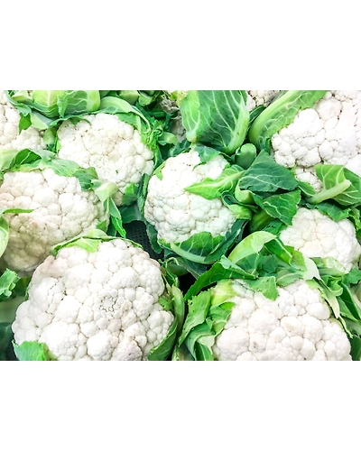 Geeta Seeds Hybrid F1 Cauliflower Seeds KGP-1