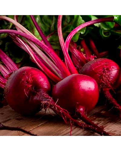 Geeta Seeds Beetroot Seeds KGP-12419909