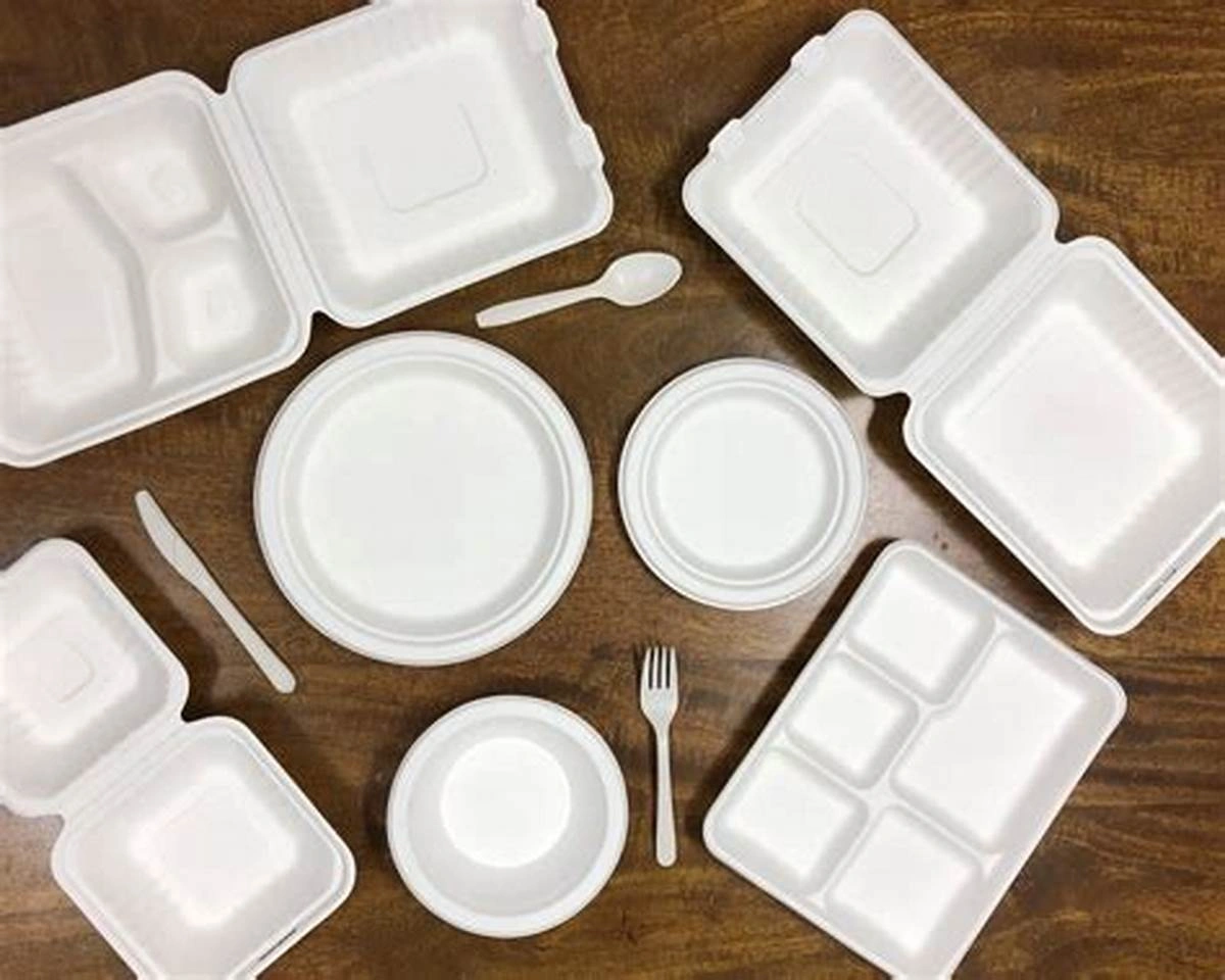 Sugarcane bagasse tableware products-12535672