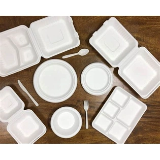 Sugarcane bagasse tableware products