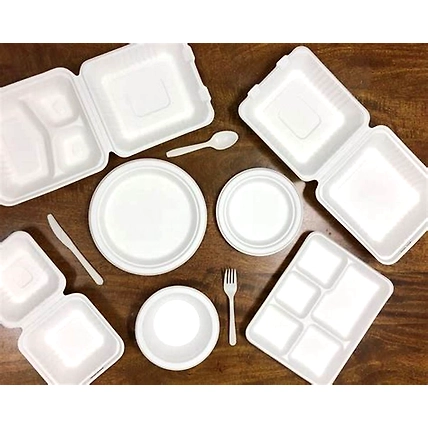 Sugarcane bagasse tableware products-12535672