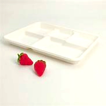 Sugarcane bagasse tableware products-1