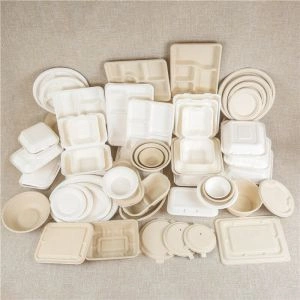 Sugarcane bagasse tableware products-2