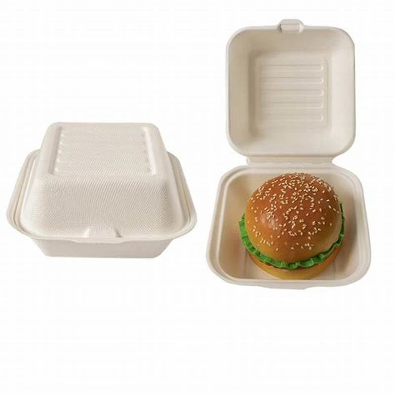 Sugarcane bagasse tableware products-3