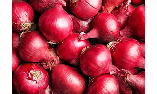 Onion