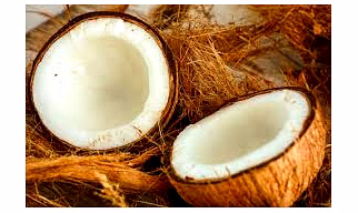 coconut