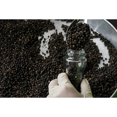 Black Pepper-1