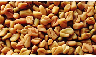 Fenugreek Seeds Whole