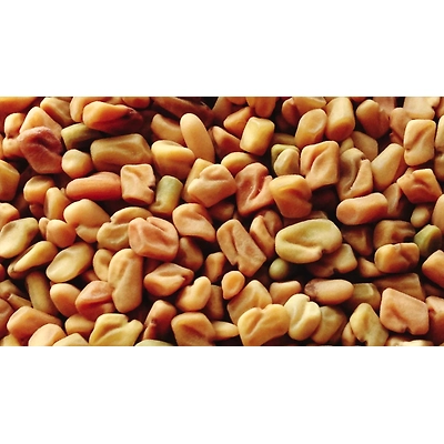 Fenugreek Seeds Whole-12704981