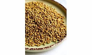 Coriander Seed Whole