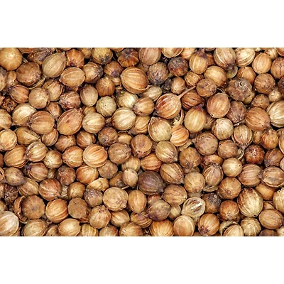 Coriander Seed Whole-2