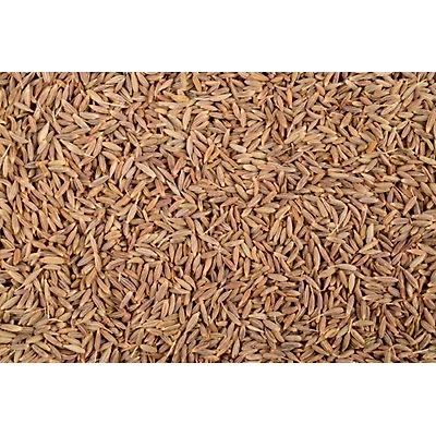 Cumin Seed Jeera Whole-5