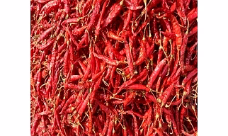 Armour chilli