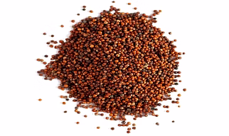 Finger Millet