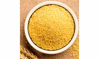 Foxtail Millet