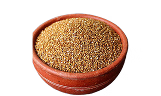 Kodo Millet