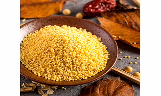 Little Millet