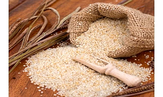 Barnyard Millet