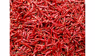 Red Chillie