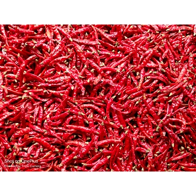 Red Chillies-2
