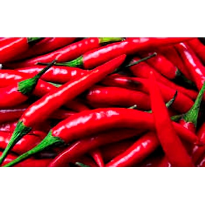 Red Chillies-12487568