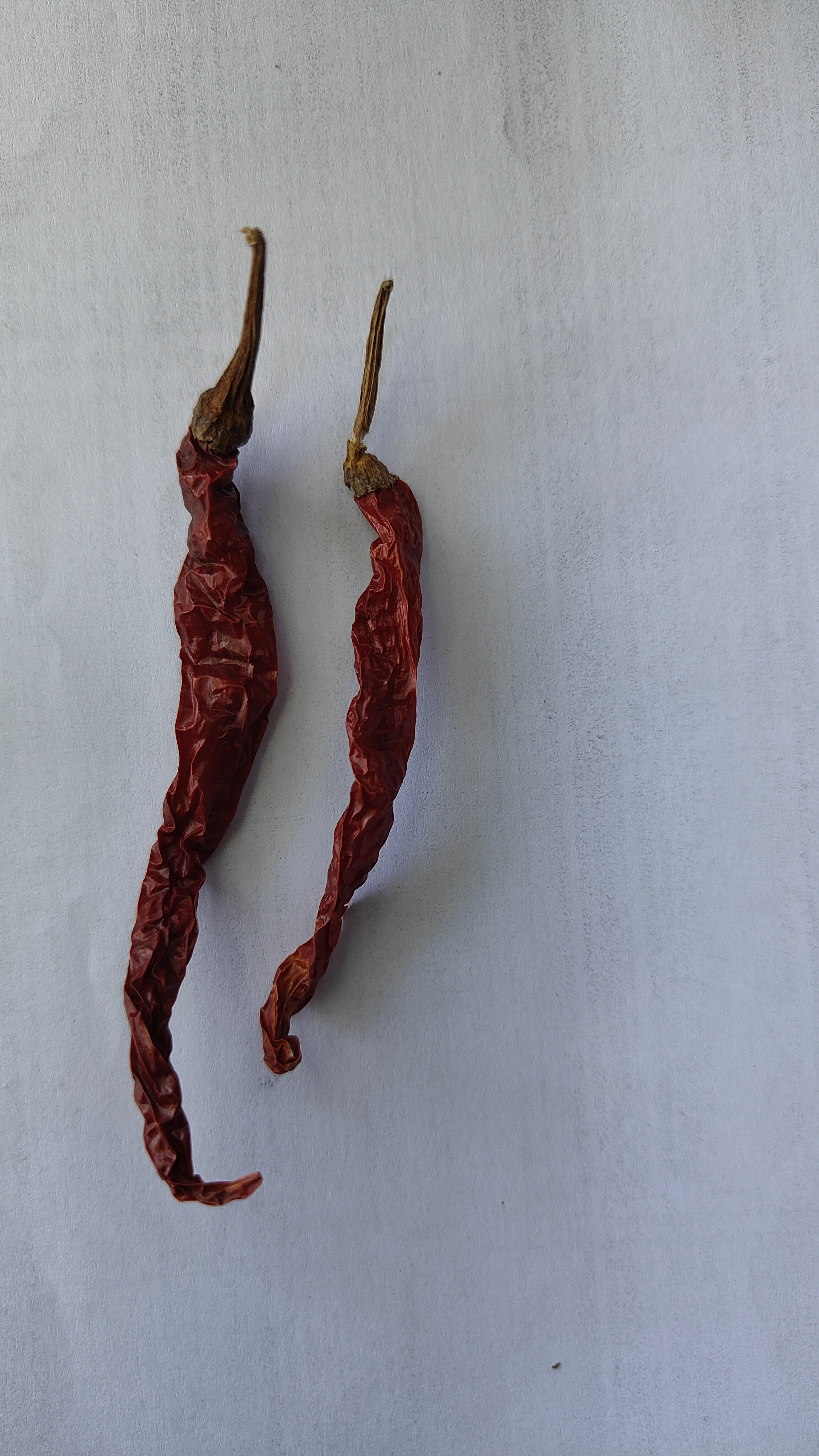 DRY CHILLI-1