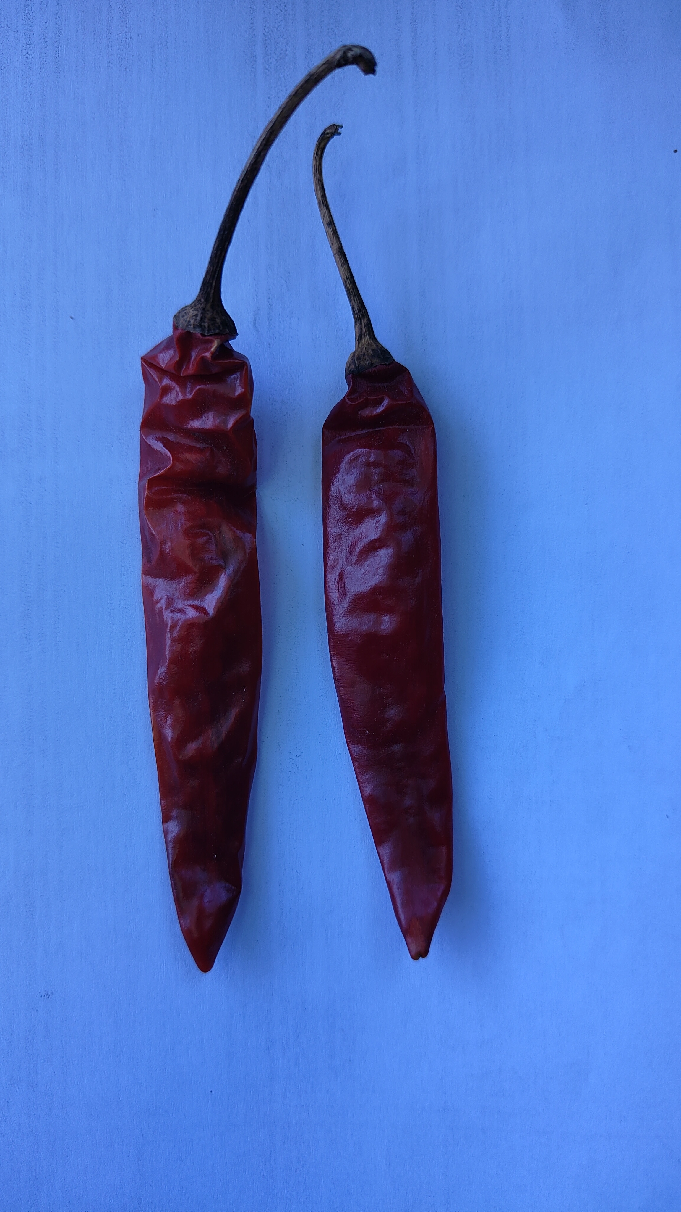 DRY CHILLI-2