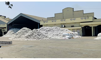 Raw Cotton