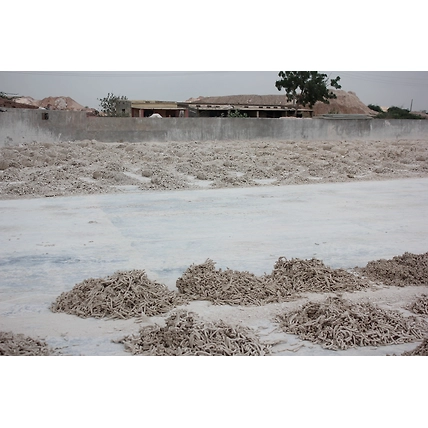 KAOLIN CLAY (CHINA CLAY)-3
