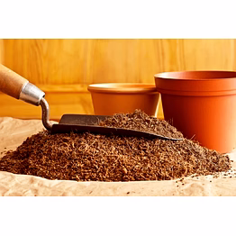 coir pith