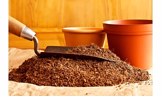 Coir Pith