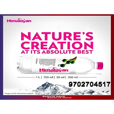 Himalayan Still Water (300 ml x 12 bottles): Sourced from Himalayas, Perfect for Gourmet Dining, Naturally Rich in Minerals