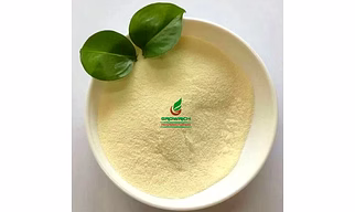 Protein Hydrolysate Powder 80