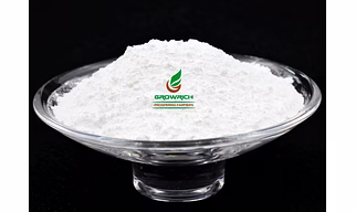 IBTA (2-DIETHYLAMINOETHYL-2-METHYLPROPYLETHER)